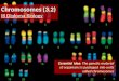 Chromosomes (3.2) IB Diploma Biology Essential Idea: The genetic material of organisms is packaged into units called chromosomes