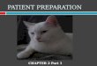 PATIENT PREPARATION CHAPTER 2 Part 1. PATIENT PREPARATION  The RVT has numerous responsibilities in the pre-anesthetic period. The pre-anesthetic period