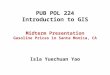 PUB POL 224 Introduction to GIS Isla Yuechuan Yao Midterm Presentation Gasoline Prices in Santa Monica, CA