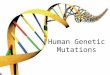 Human Genetic Mutations. 2 Main Types of Mutations 1.) Chromosomal Mutations 2.) Gene Mutations