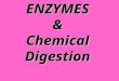 ENZYMES & Chemical Digestion. Chemical Digestion Basics Dehydration Synthesis vs. Hydrolysis Anabolic – Dehydration Synthesis –Require the removal of