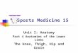 Sports Medicine 15 Unit I: Anatomy Part 4 Anatomies of the Lower Limbs The knee, Thigh, Hip and Groin