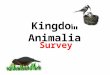 Kingdom Animalia Survey. 6 Characteristics of the Animals