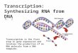 Transcription: Synthesizing RNA from DNA 6. 2 Transcription is the first step in gene expression and involves the production of an RNA molecule from a
