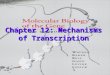 1 Chapter 12: Mechanisms of Transcription. 2 RNA polymerase and transcription cycle RNA polymerase and transcription cycle The transcription cycle in