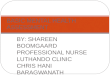 BY: SHAREEN BOOMGAARD PROFESSIONAL NURSE LUTHANDO CLINIC CHRIS HANI BARAGWANATH HOSPITAL BASIC MENTAL HEALTH ASSESSMENT