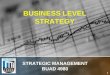 1 BUSINESS LEVEL STRATEGY STRATEGIC MANAGEMENT BUAD 4980