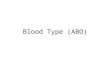 Blood Type (ABO). The Function of Antibodies Our bodies make antibodies to protect us from “foreign” molecular species. Persons with A-antigens produce