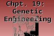 Chpt. 19: Genetic Engineering. What is genetic engineering??? Genetic engineering: is the artificial manipulation or alteration of genes. Genetic Engineering