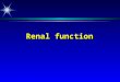 Renal function. Functions of the kidney ä regulation e.g. homeostasis, water, acid/base ä excretion e.g. urea, creatinine ä endocrine e.g. renin, erythropoietin,