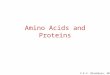 © E.V. Blackburn, 2012 Amino Acids and Proteins. © E.V. Blackburn, 2012 The hydrolysis of most proteins produces about twenty different amino acids. an