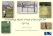Preparing Home Fruit Plantings for Spring John Strang Department of Horticulture