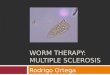 WORM THERAPY: MULTIPLE SCLEROSIS Rodrigo Ortega. Outline  Introduction  Multiple sclerosis: epidemiology and mechanisms  The hygiene hypothesis  Experiments
