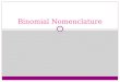 1 Binomial Nomenclature. 2 types of chemical compounds that we will name: Binary ionic - metal ion – nonmetal ion Binary molecular - two nonmetals 2