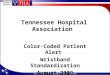 Tennessee Hospital Association Color-Coded Patient Alert Wristband Standardization August 2009