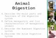 Animal Digestion A.Describe the major parts and functions of the digestive system B.Define monogastric and list characteristics of monogastric animals
