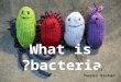 What is bacteria? By Younes Rashad.  Bacteria is a single-celled organism which can only be seen through microscope.  Bacteria comes in different shapes