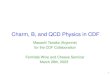 1 Charm, B, and QCD Physics in CDF Masashi Tanaka (Argonne) for the CDF Collaboration Fermilab Wine and Cheese Seminar March 28th, 2003