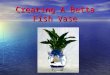 Creating A Betta Fish Vase. Supplies Needed! Colored Gemstones Fish Food