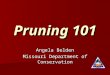 Pruning 101 Angela Belden Missouri Department of Conservation