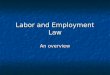 Labor and Employment Law An overview. Authoritative sources of law in the US Federalism: Two systems, both operating directly on individuals Federalism: