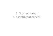 1. Stomach and 2. esophageal cancer. Stomach cancer-Anatomy Parts of the stomach: -cardia (cardiac portion) -fundus -body -pyloric antrum -pyloric canal