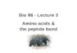 Bio 98 - Lecture 3 Amino acids & the peptide bond
