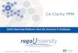 Www.regoconsulting.comPhone: 1-888-813-0444 Clarity Reporting Platforms: Real Life Successes & Challenges CA Clarity PPM