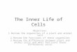 The Inner Life of Cells Objective: 1.Review the organelles of a plant and animal cell 2.Review the functions of these organelles 3.Review the differences