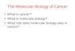 The Molecular Biology of Cancer What is cancer? What is molecular biology? What role does molecular biology play in cancer?