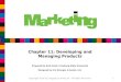 Chapter 11: Developing and Managing Products Prepared by Amit Shah, Frostburg State University Designed by Eric Brengle, B-books, Ltd. Copyright 2010 by