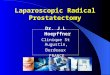 Dr. J.L Hoepffner Clinique St Augustin, Bordeaux FRANCE Laparoscopic Radical Prostatectomy