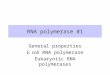 RNA polymerase #1 General properties E. coli RNA polymerase Eukaryotic RNA polymerases