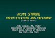ACUTE STROKE IDENTIFICATION AND TREATMENT (“TIME IS BRAIN”) Andy Jagoda, MD, FACEP Department of Emergency Medicine Mount Sinai School of Medicine New