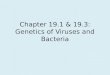 Chapter 19.1 & 19.3: Genetics of Viruses and Bacteria