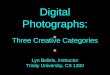 Digital Photographs: Three Creative Categories Lyn Belisle, Instructor Trinity University, CS 1300