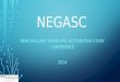 NEGASC NEW ENGLAND GRADUATE ACCOUNTING STUDY CONFERENCE 2014