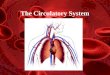 The Circulatory System. Functions of the Circulatory System Stabilizes body temperature and pH to maintain homeostasis An organ system which distributes