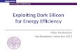 Exploiting Dark Silicon for Energy Efficiency Nikos Hardavellas Northwestern University, EECS