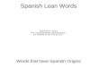 Spanish Loan Words Words that have Spanish Origins