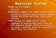 Muscular System Made up of organs –Muscles Remember organs are made up of tissue –Primarily skeletal muscle tissue, nervous tissue and blood and other
