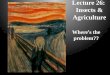 Lecture 26: Insects & Agriculture Where ’ s the problem??