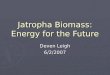 Jatropha Biomass: Energy for the Future Deven Leigh 6/2/2007