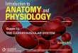 THE CARDIOVASCULAR SYSTEM Chapter 14. Introduction Cardiovascular system: heart, blood and blood vessels Cardiac muscle –Makes up bulk of heart –Provides