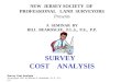 Survey Cost Analysis ©copyright 2011 by William E. Beardslee, P.L.S., P.E., P.P. NEW JERSEY SOCIETY OF PROFESSIONAL LAND SURVEYORS Presents A SEMINAR