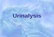 Urinalysis. Urinary System Purpose  General evaluation of health  Diagnosis of disease or disorders of the kidneys or urinary tract  Diagnosis of