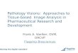 Raising the digital standard Frank A. Voelker, DVM, DACVP Flagship Biosciences Pathology Visions: Approaches to Tissue-based Image Analysis in Pharmaceutical