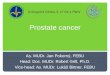 Prostate cancer As. MUDr. Jan Pokorný, FEBU Head: Doc. MUDr. Robert Grill, Ph.D. Vice-head: As. MUDr. Lukáš Bittner, FEBU Urologická klinika 3. LF UK a