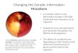 Changing the Genetic Information Mutations A mutation refers to any permanent change in the DNA nucleotide base sequence of an organism. Mutations occur