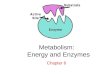 Metabolism: Energy and Enzymes Chapter 6. Energy = the ability to do work Kinetic Energy - energy of motion Potential Energy - stored energy First Law